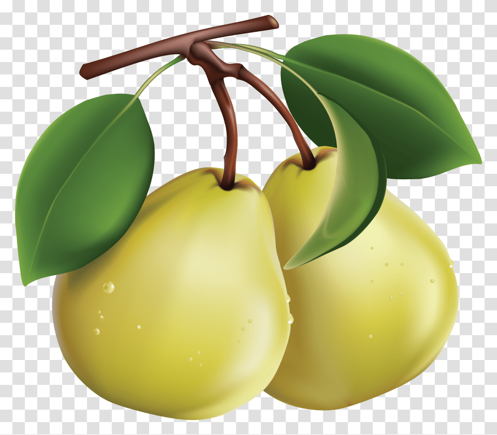 Pear, Fruit, Plant, Food, Produce Transparent Png