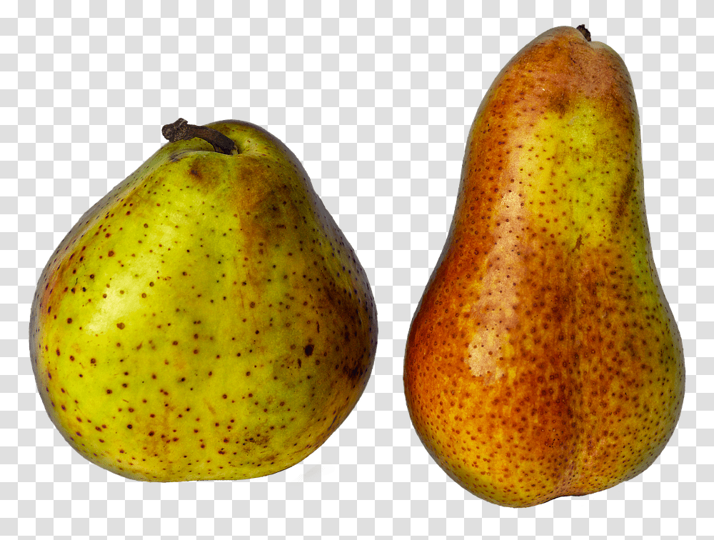 Pear, Fruit, Plant, Food Transparent Png