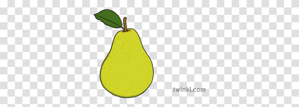 Pear Illustration Twinkl Cempedak, Plant, Fruit, Food Transparent Png