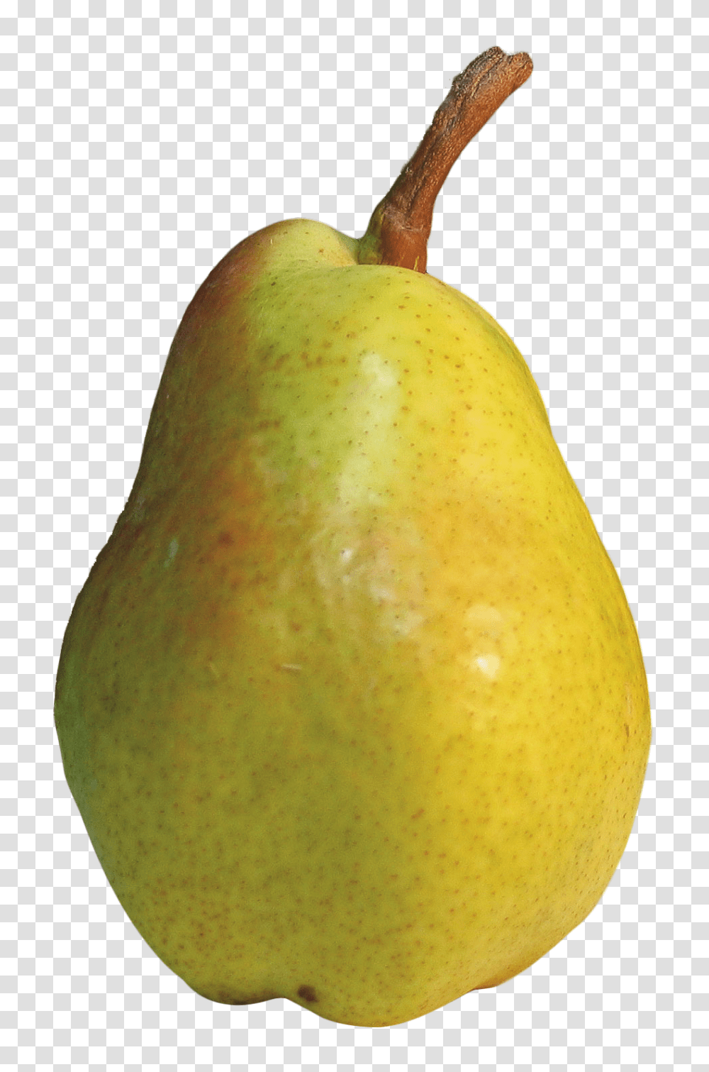 Pear Image, Fruit, Plant, Food Transparent Png