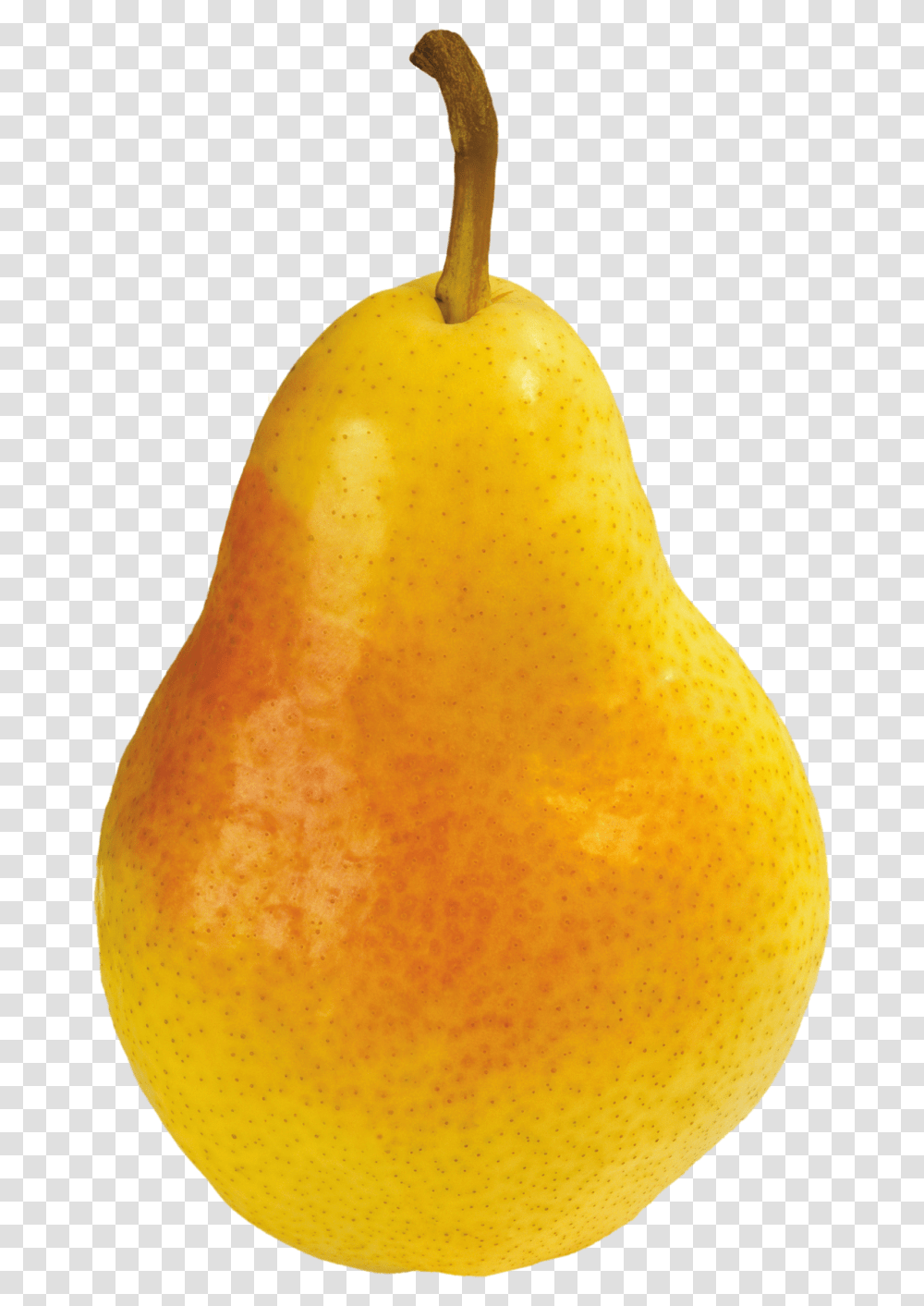 Pear Image Grusha, Plant, Fruit, Food Transparent Png