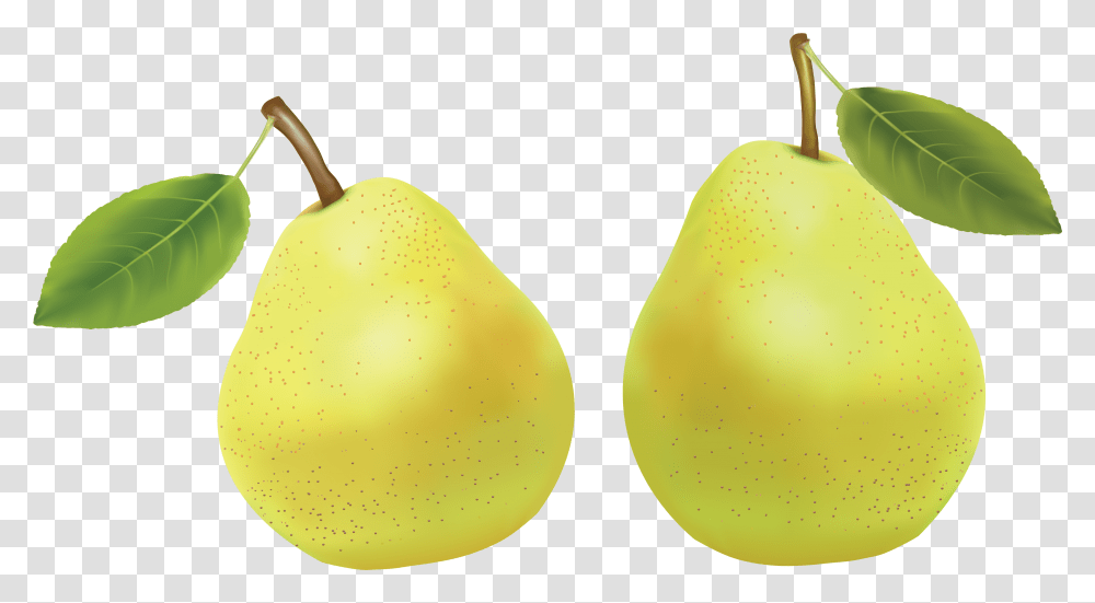 Pear Pears, Plant, Fruit, Food Transparent Png