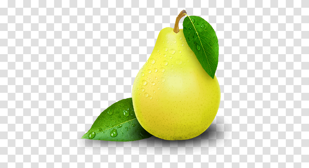 Pear Photo Pear, Fruit, Plant, Food, Leaf Transparent Png