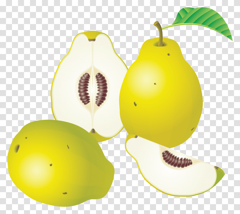 Pear, Plant, Fruit, Food, Produce Transparent Png