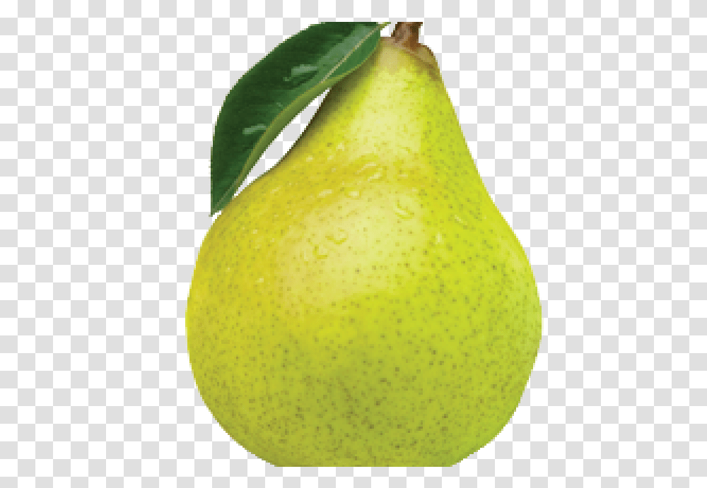 Pear, Plant, Fruit, Food, Tennis Ball Transparent Png