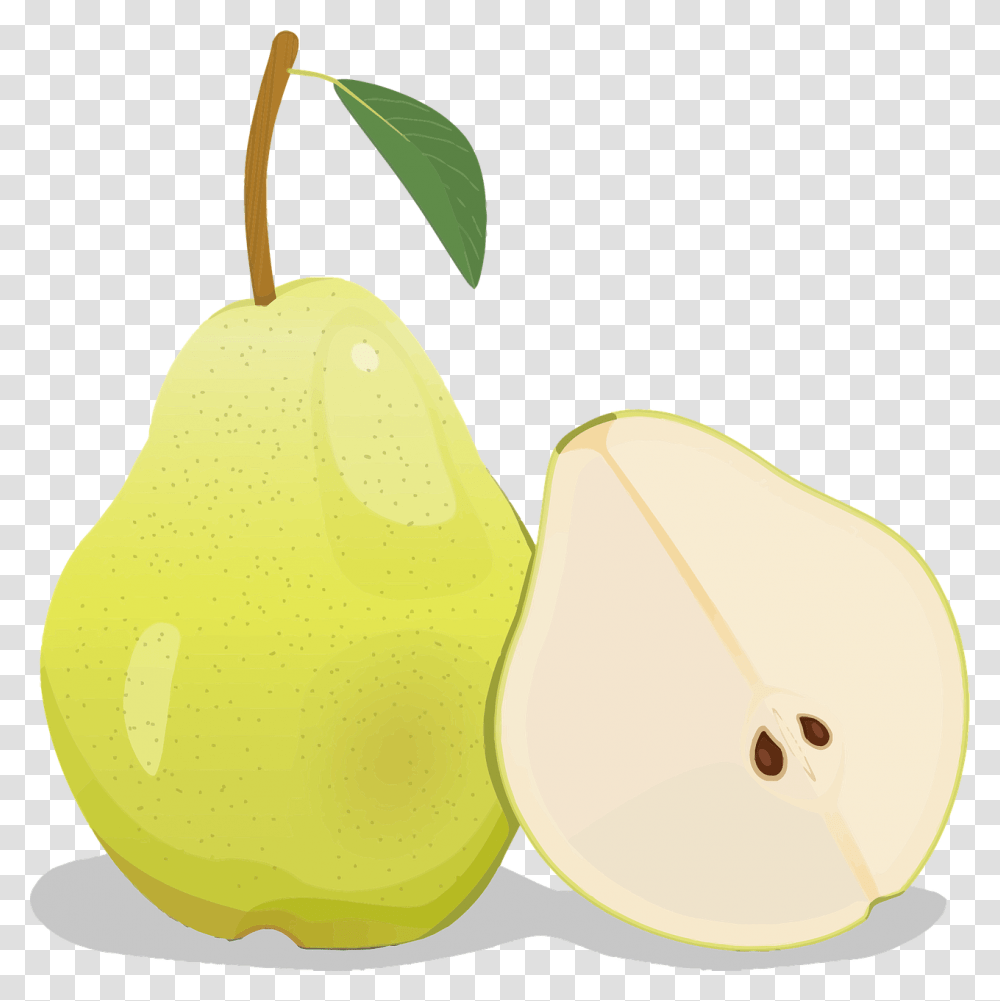 Pear, Plant, Fruit, Food Transparent Png