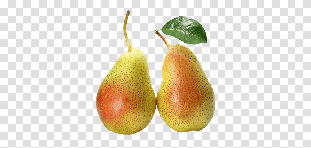 Pear Seasonal 500g Pear, Plant, Fruit, Food Transparent Png