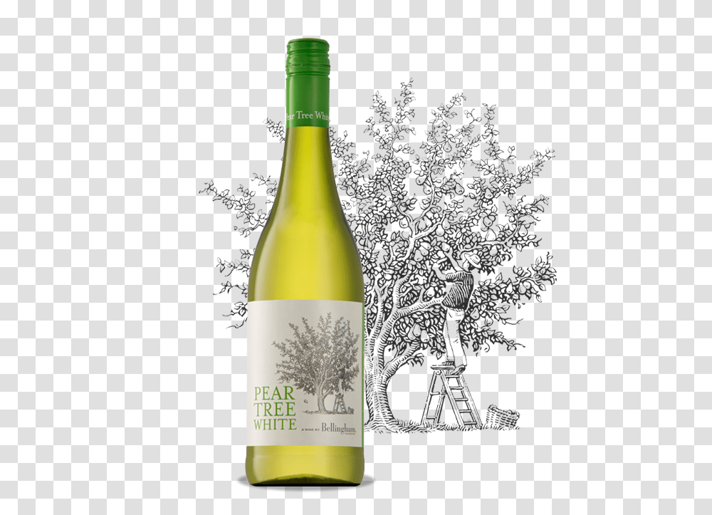 Pear Tree Bellingham Pear Tree White, Alcohol, Beverage, Drink, Wine Transparent Png