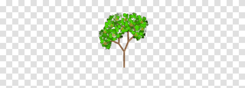 Pear Tree Clip Art, Plant, Vegetation, Cross, Leaf Transparent Png
