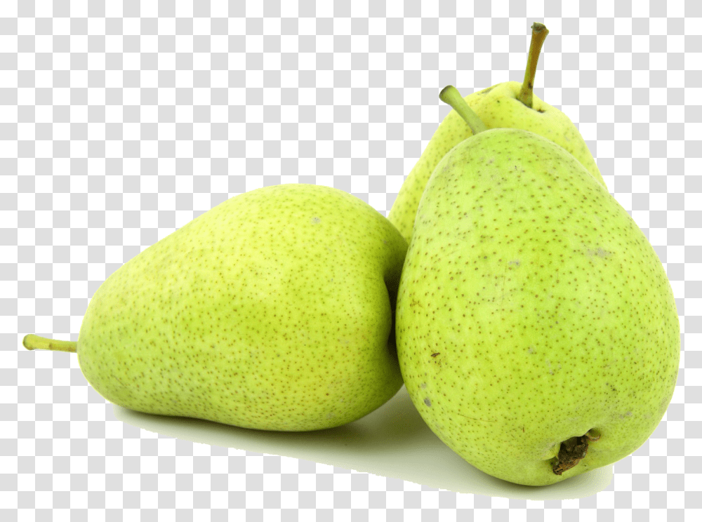 Pear Tree, Fruit, Plant, Food, Tennis Ball Transparent Png