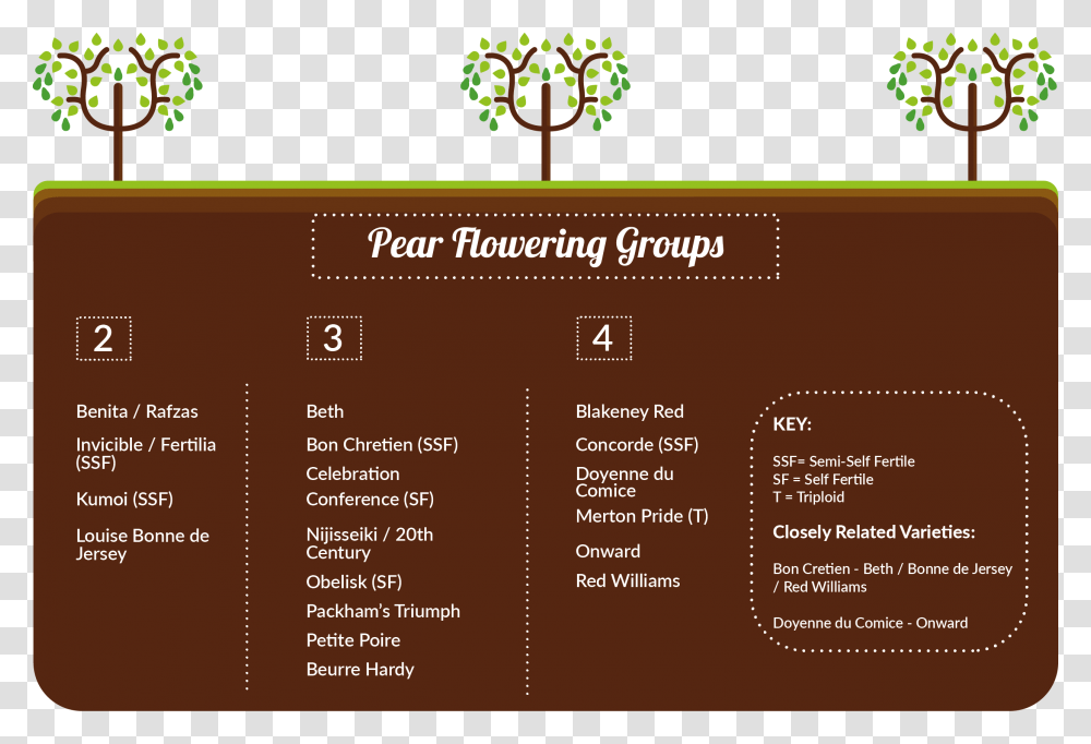 Pear Trees Pollination Group C, Poster, Advertisement, Flyer, Paper Transparent Png
