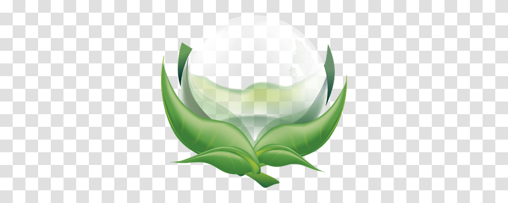 Pearl Nature, Aloe, Plant, Green Transparent Png