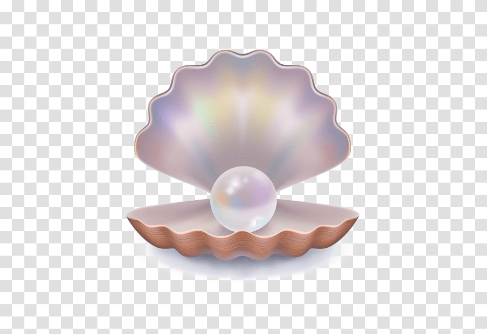 Pearl Background Background Clam Shell, Lamp, Jewelry, Accessories, Accessory Transparent Png