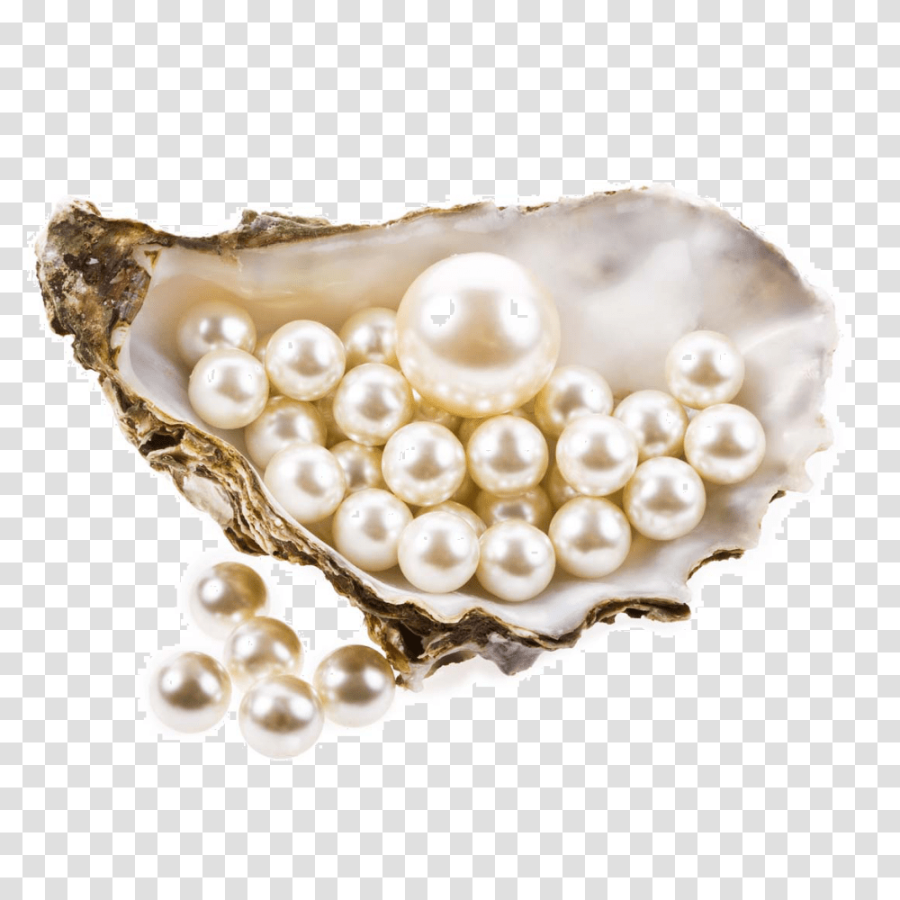 Pearl Background Pearls, Accessories, Accessory, Jewelry, Bracelet Transparent Png