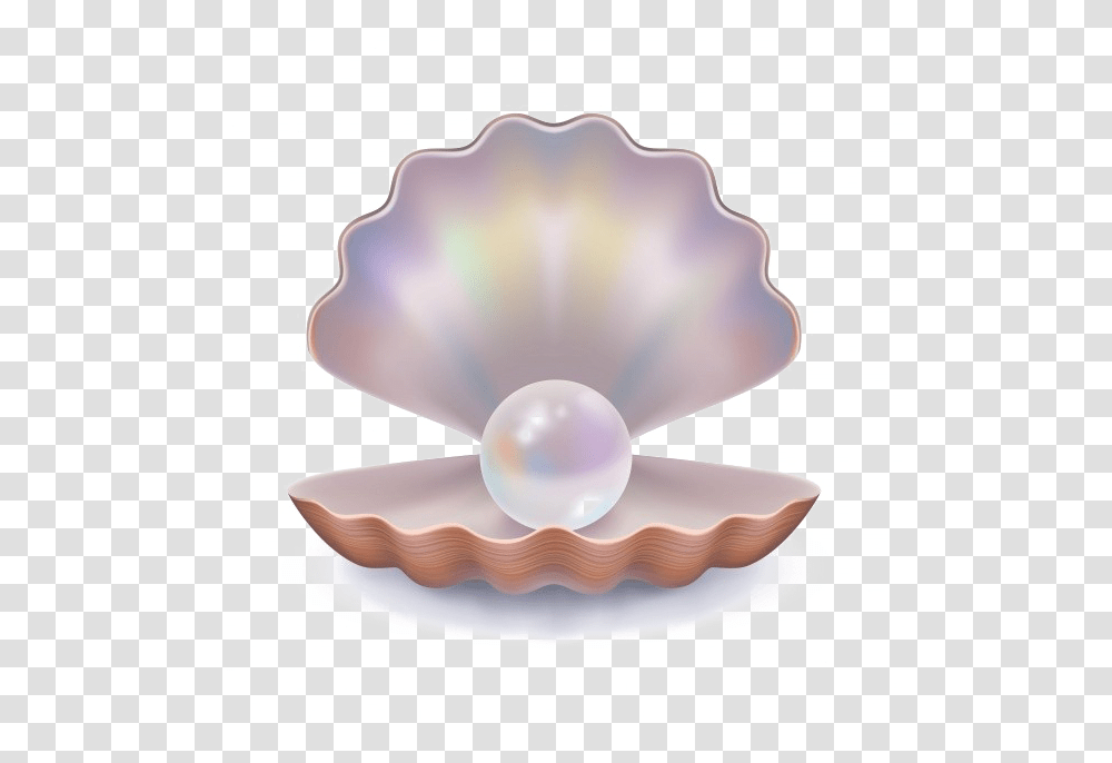 Pearl Download Image Background Clam Shell, Lamp, Accessories, Accessory, Jewelry Transparent Png