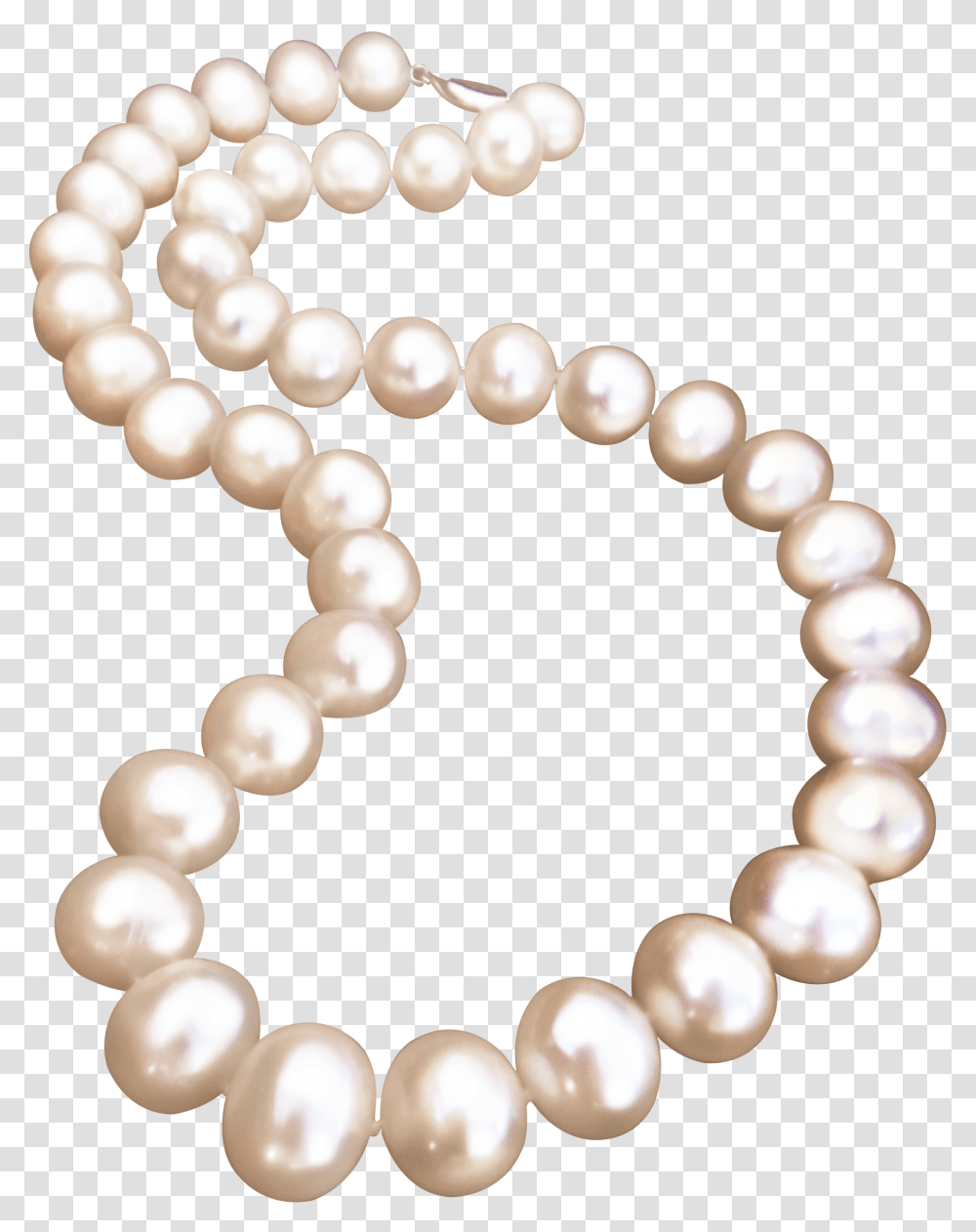 Pearl Necklace Jewellery Pearl Necklace Free Pearl Necklace, Jewelry, Accessories, Accessory Transparent Png