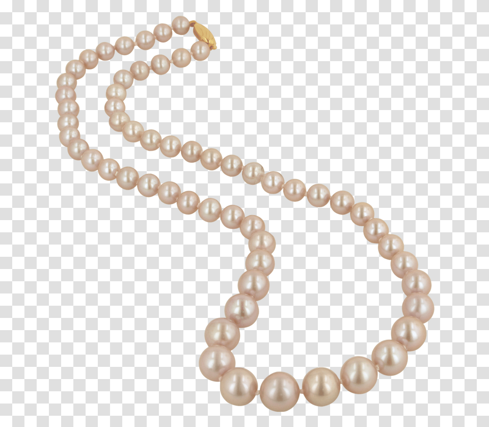 Pearl Necklace, Jewelry, Accessories, Accessory, Ornament Transparent Png