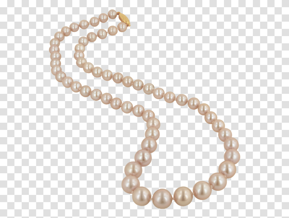Pearl Necklace, Jewelry, Accessories, Accessory, Ornament Transparent Png