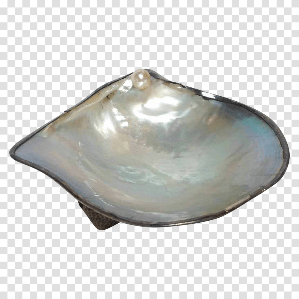 Pearl Oyster Shell Dish With Sterling Japanese Collectibles, Clam, Seashell, Invertebrate, Sea Life Transparent Png