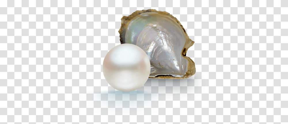 Pearl Pearls Background, Jewelry, Accessories, Accessory, Egg Transparent Png