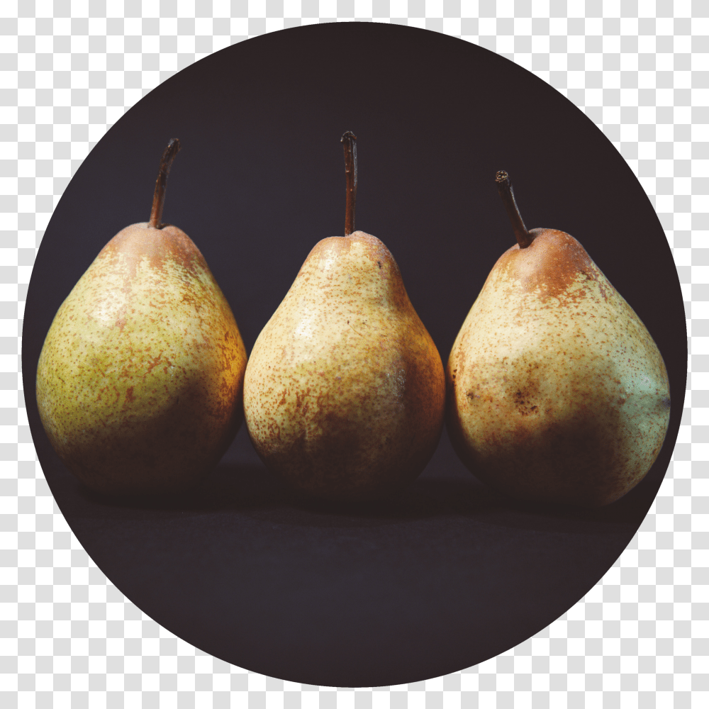 Pears 2 Corinthians 9 7 Verse Transparent Png