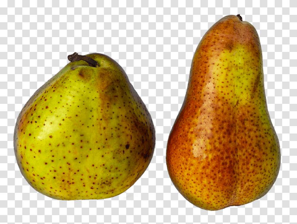 Pears 960, Fruit, Plant, Food Transparent Png