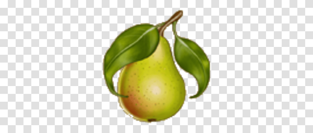 Pears Asian Pear, Banana, Fruit, Plant, Food Transparent Png
