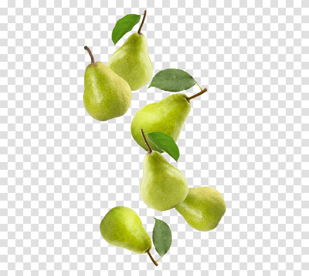 Pears Asian Pear, Plant, Fruit, Food Transparent Png