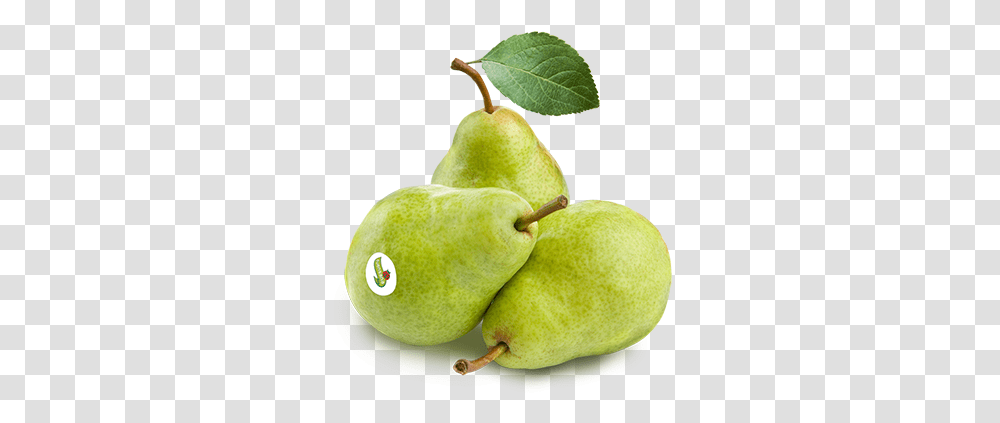 Pears Packham Pack Of, Tennis Ball, Sport, Sports, Plant Transparent Png