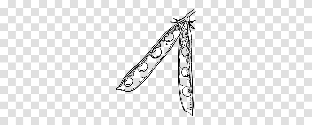 Peas Nature, Gray, World Of Warcraft Transparent Png