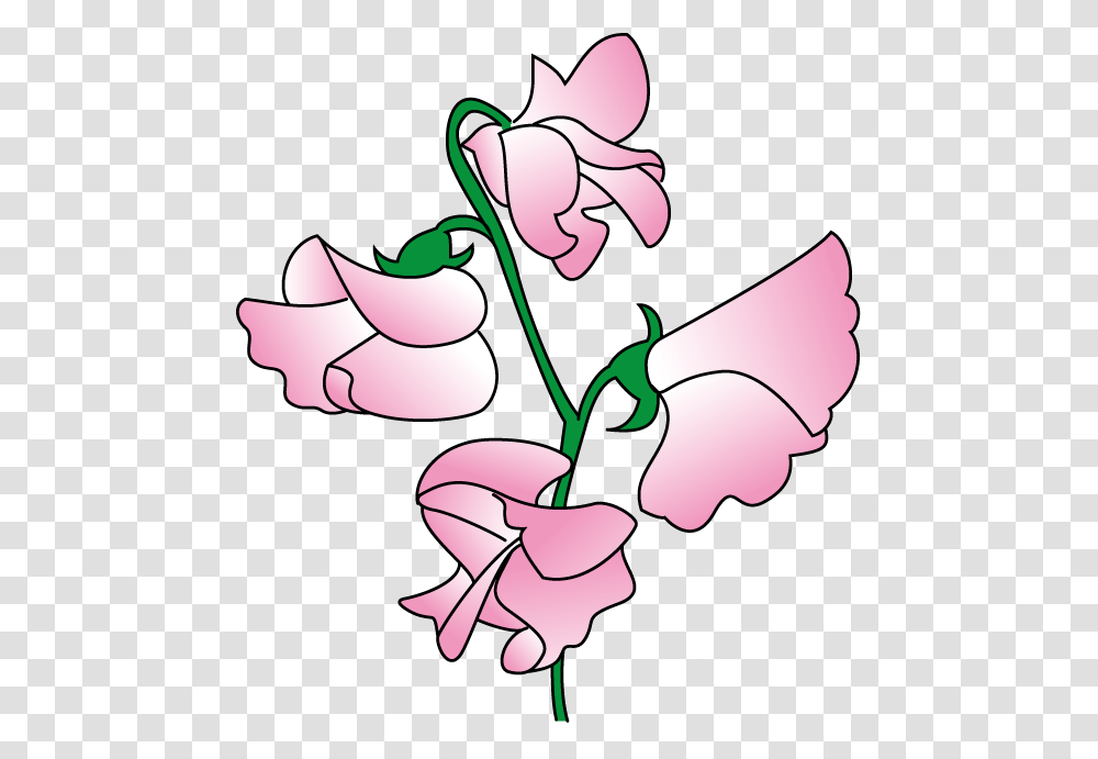 Peas Clip Art, Plant, Petal, Flower, Blossom Transparent Png