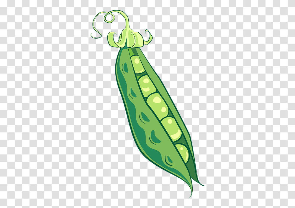 Peas Pea Pod Food Vegetable Healthy Vegetarian Pea Illustration, Plant, Produce, Bean, Grain Transparent Png