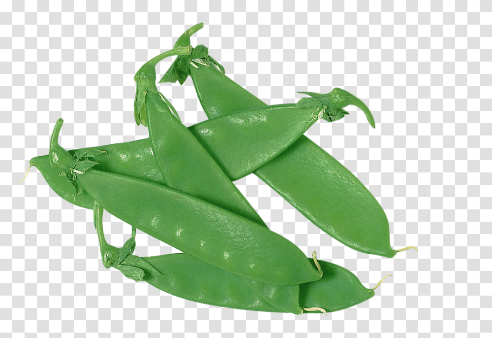 Peas Step, Plant, Leaf, Vegetable, Food Transparent Png