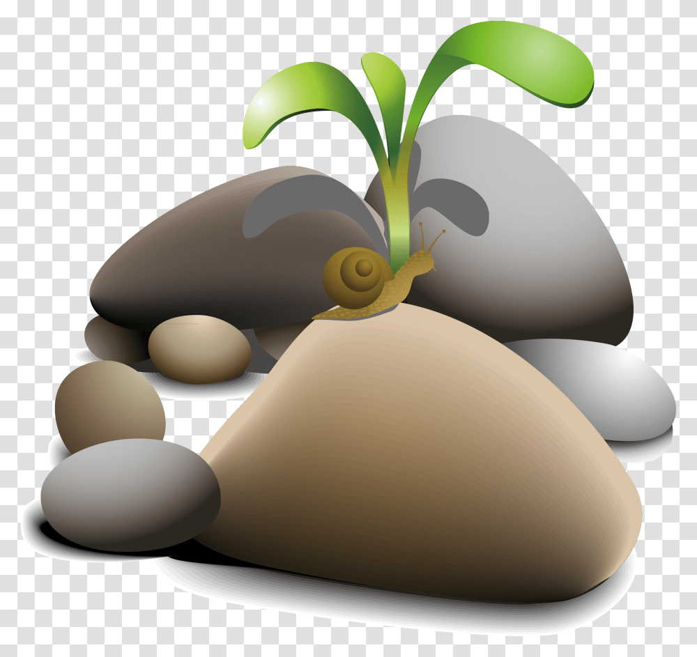 Pebble Clip Art Snail Planta En Piedras, Lamp, Vegetable, Food, Produce Transparent Png
