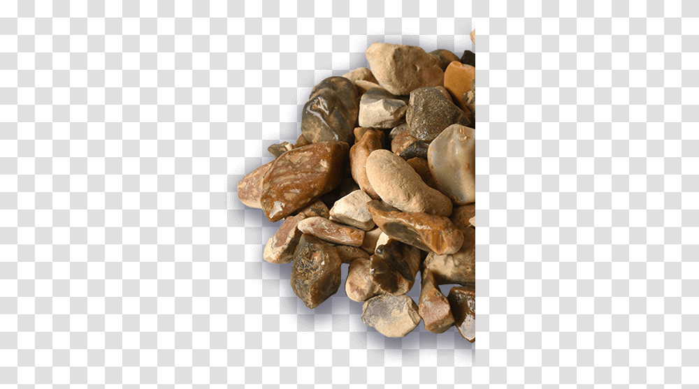 Pebble, Rock, Mineral, Crystal, Fungus Transparent Png