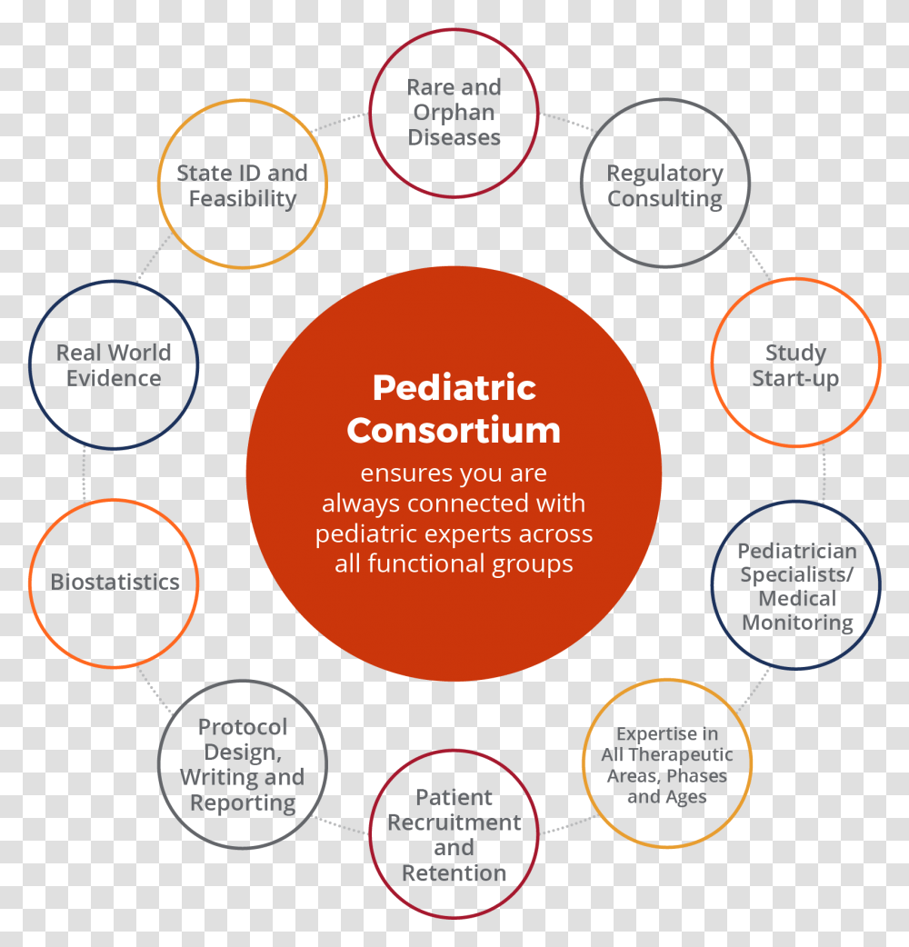 Pediatrician Area Of Study, Diagram, Plot, Indoors Transparent Png