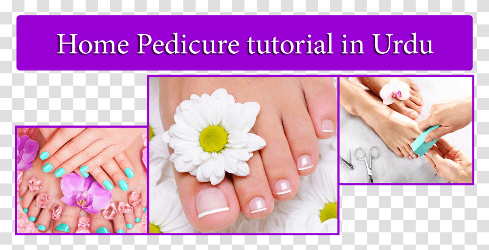 Pedicure Tips In Urdu Shellac Hands And Feet, Person, Human, Manicure, Nail Transparent Png