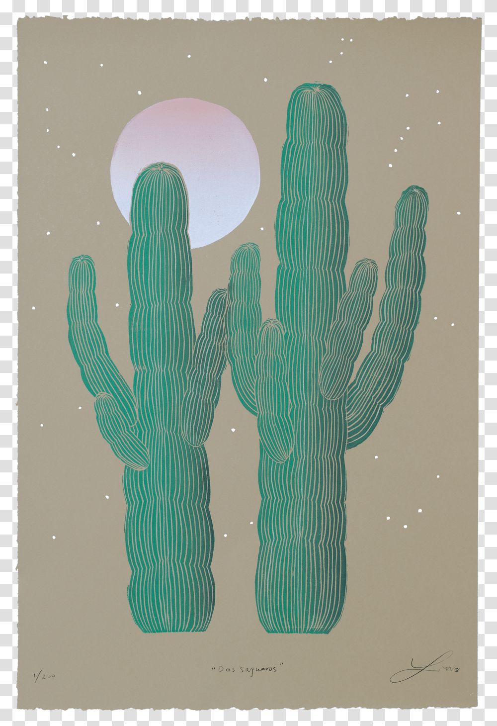 Pedro Cactussucculent Cactusillustration Illustration Transparent Png