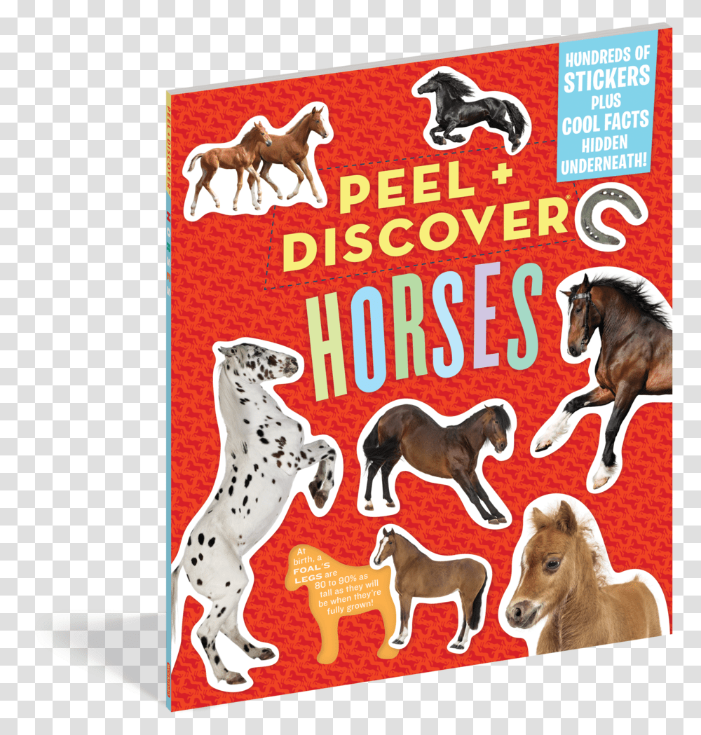 Peel Discover Peel Discover Horses, Advertisement, Poster, Dog, Pet Transparent Png