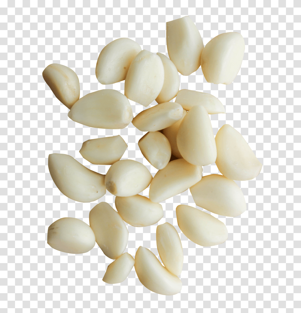 Peeled Garlic Cloves Image, Vegetable, Plant, Food, Nut Transparent Png