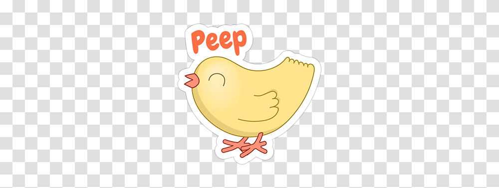 Peep, Animal, Bird, Fowl, Poultry Transparent Png