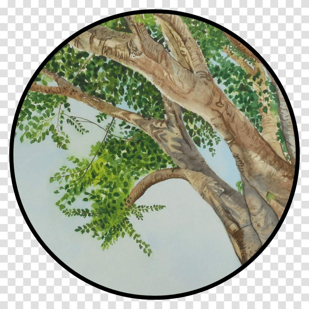 Peepal Tree Drawing, Plant, Snake, Reptile, Animal Transparent Png