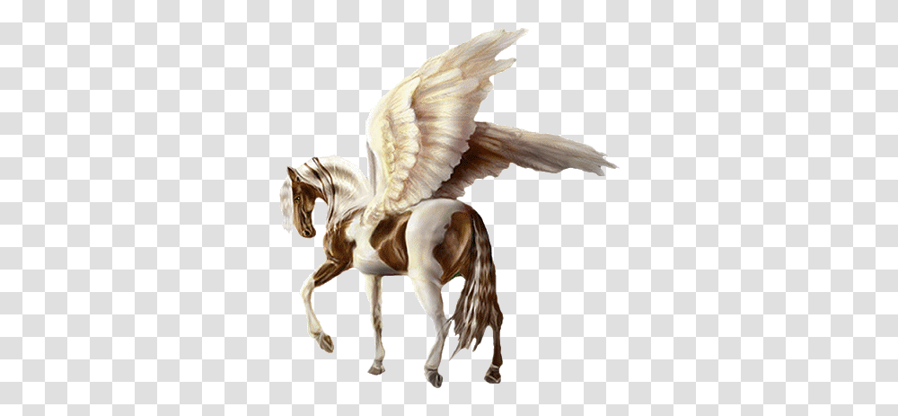 Pegas, Fantasy, Bird, Animal Transparent Png