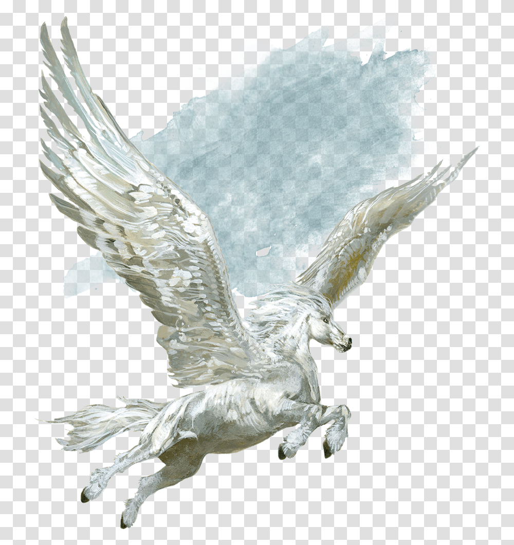 Pegasus Download Image Pegasus D And D, Bird, Animal, Eagle Transparent Png