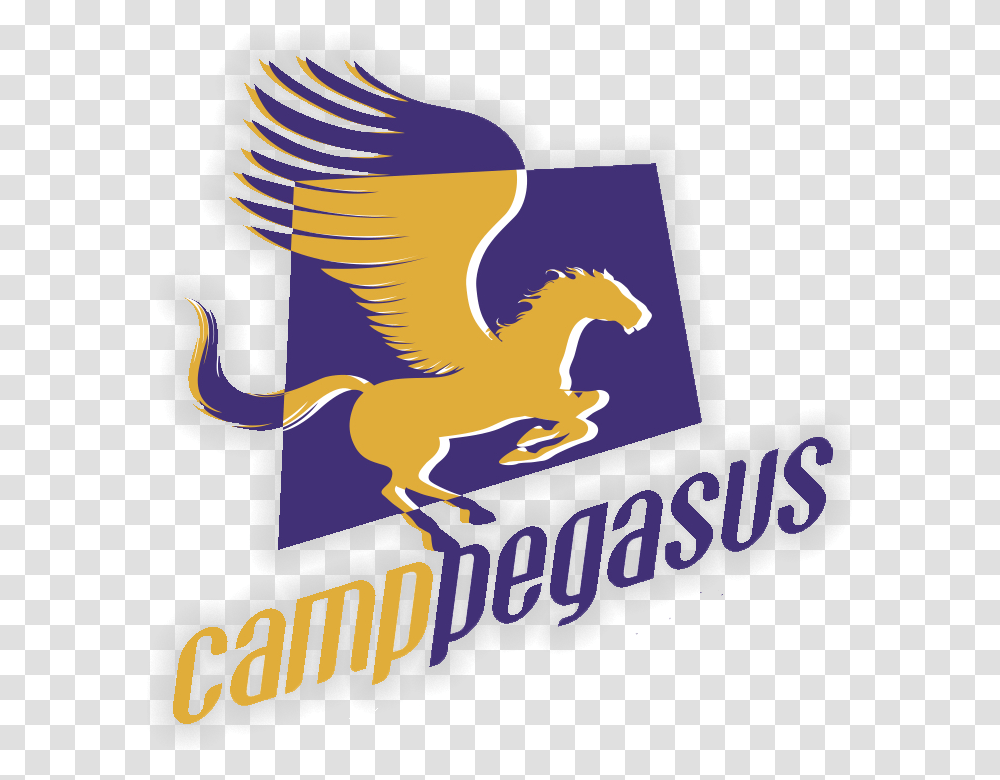 Pegasus, Eagle, Bird, Animal, Poster Transparent Png