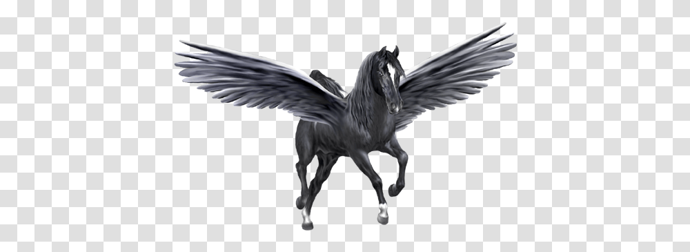 Pegasus, Fantasy, Horse, Mammal Transparent Png