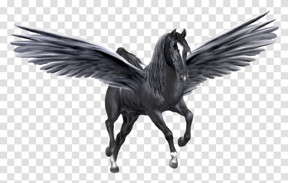 Pegasus, Fantasy, Bird, Animal Transparent Png