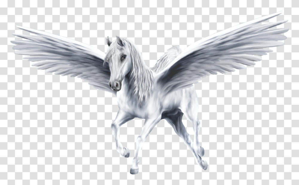 Pegasus, Fantasy, Bird, Animal Transparent Png