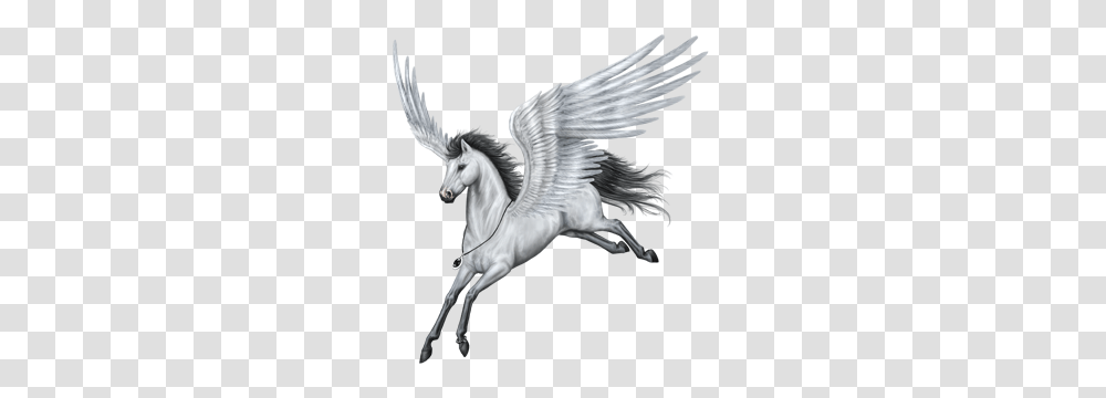 Pegasus, Fantasy, Bird, Animal Transparent Png