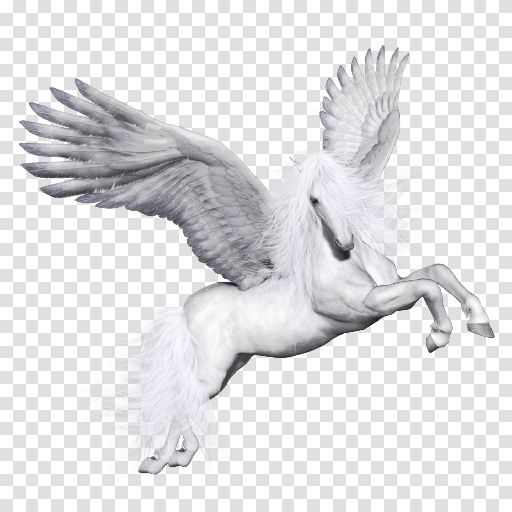 Pegasus, Fantasy, Bird, Animal, Chicken Transparent Png